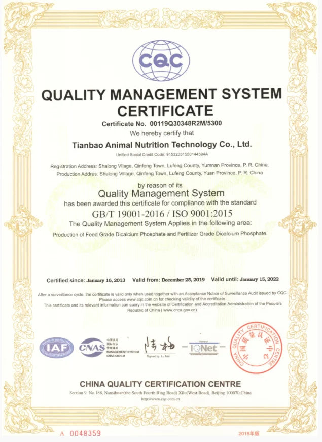 Shamty Pure Gold Color Hairwear Headwear African Nigeria Sudan Eritrea Kenya Wedding Head African Jewelry Dubai